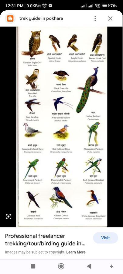 Hotel National Park- A Peaceful Family Home Where You Can Stay Peace And Enjoy And Organize The Wildlife Safari Читван Экстерьер фото