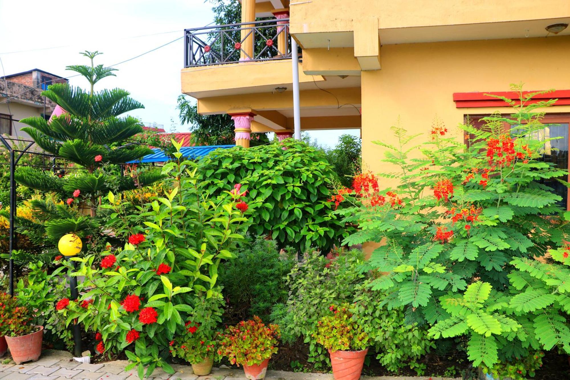 Hotel National Park- A Peaceful Family Home Where You Can Stay Peace And Enjoy And Organize The Wildlife Safari Читван Экстерьер фото